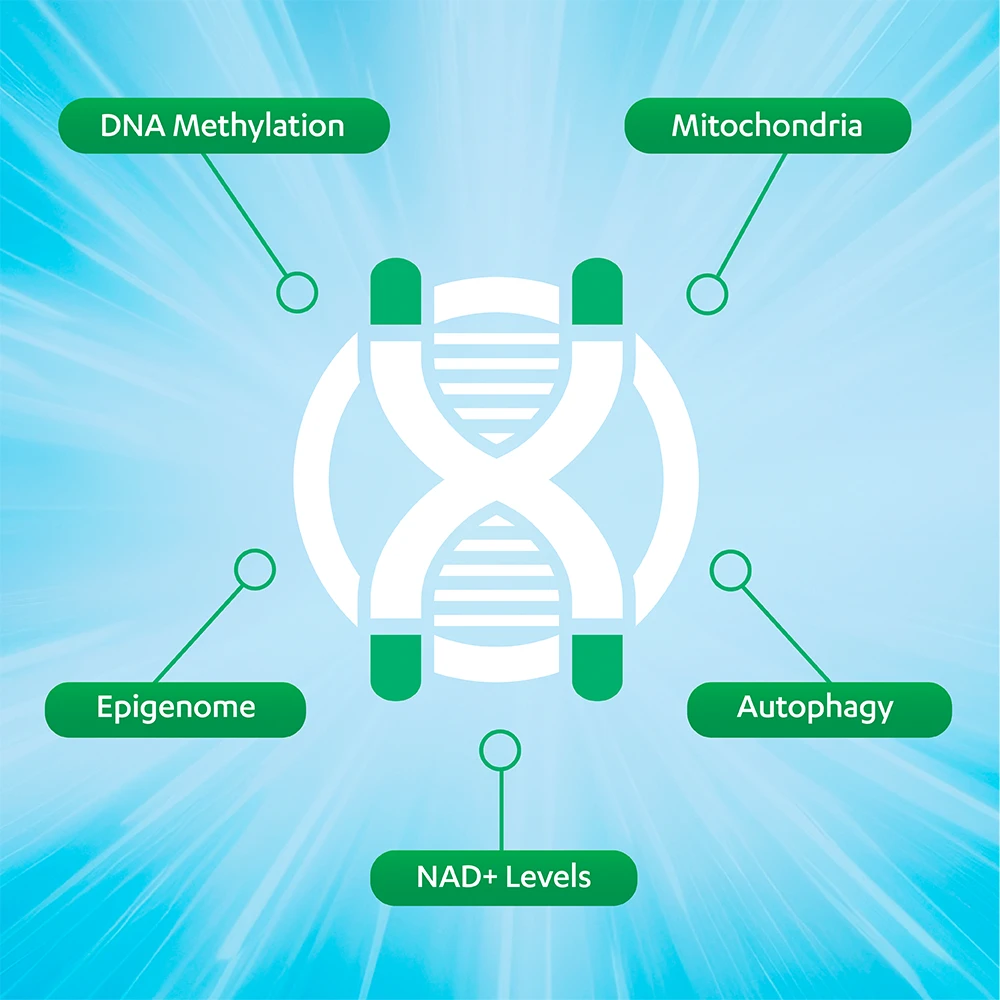 04 tab2 graphic healthytelomeres 33k6agdi Tab undefined
